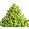 landfill waste