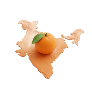 born in nagpur