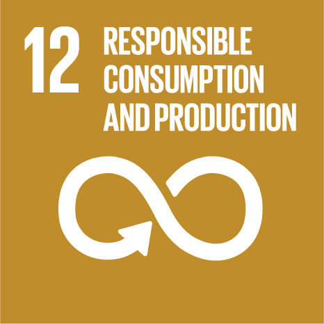 United Nations Sustainable Development Goal 12