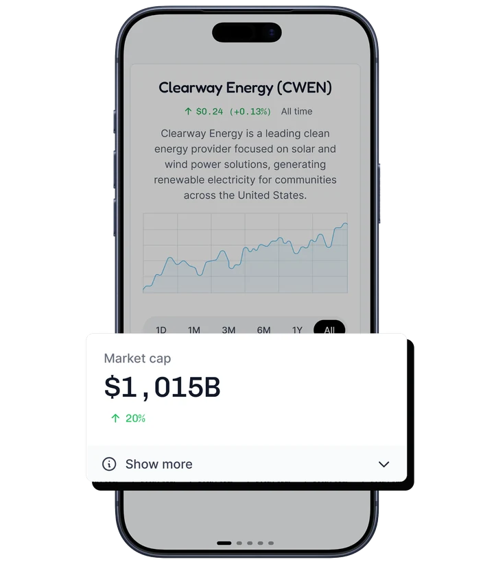 the app showing one company, with a price chart and its size