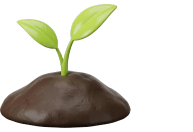 a seedling growing from soil